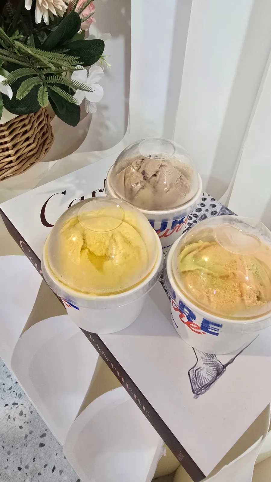 열대과일 맛 아이스크림의 선명한 색감