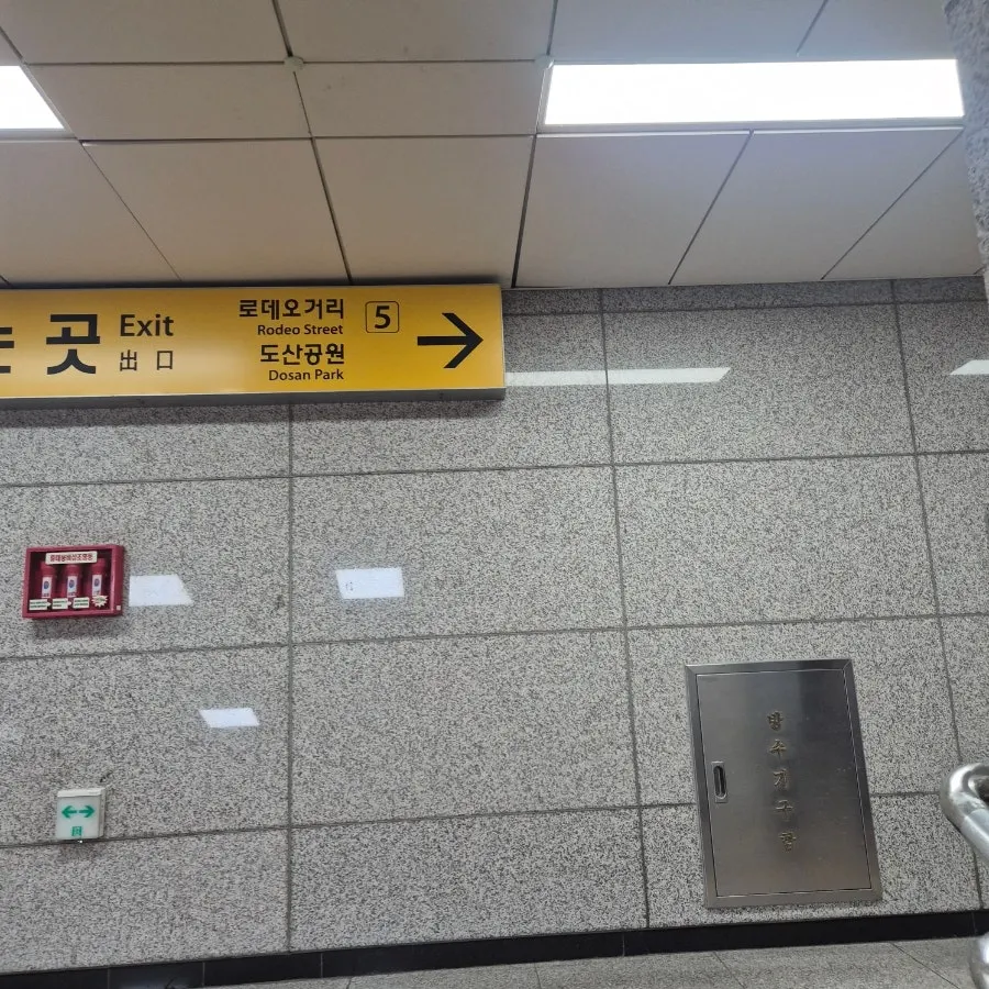 Directions to Biorn Hair near Exit 5 of Apgujeong Rodeo Station