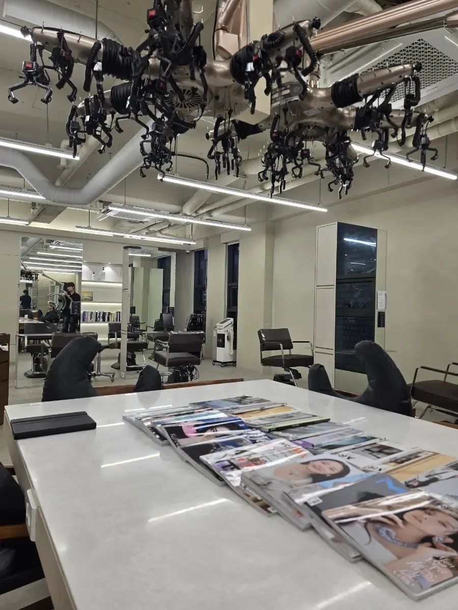 Calm interior design of the salon