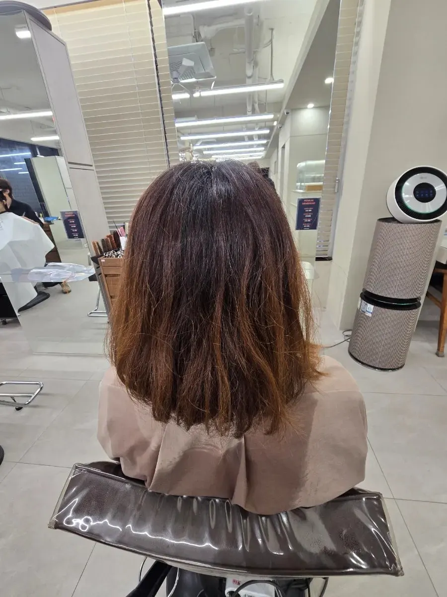 Hair consultation before the treatment