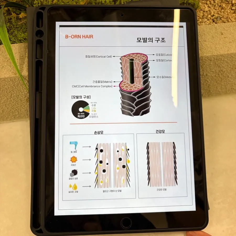 갈라진 손상모에 대한 클리닉 설명 자료