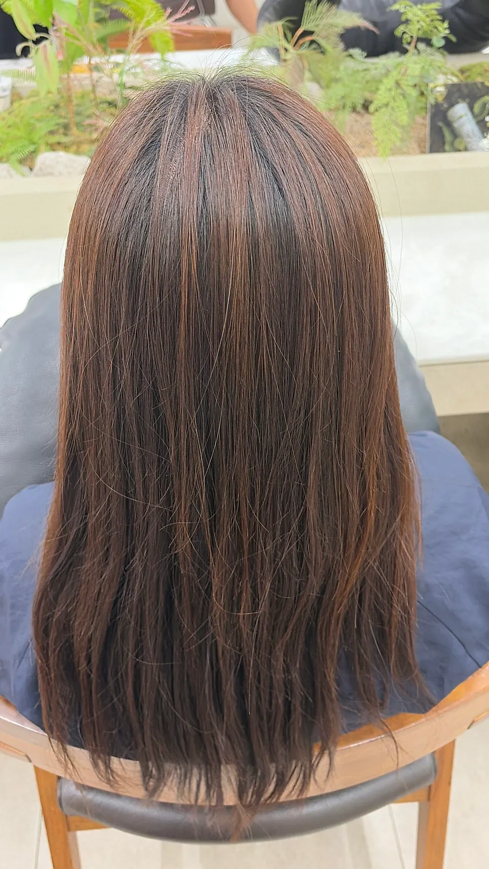 Long hair with a reddish tinge before dyeing