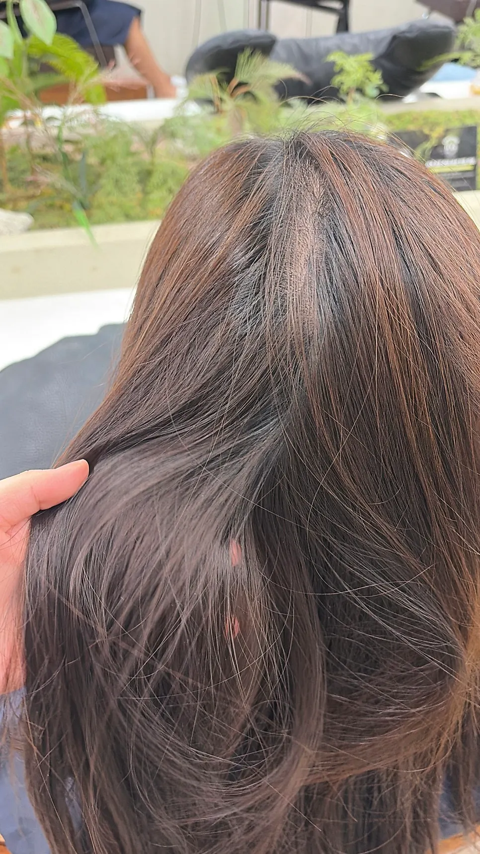 Checking the patchy hair condition before the treatment