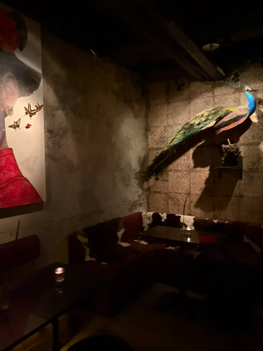 Calm, cozy seating area at Birdman