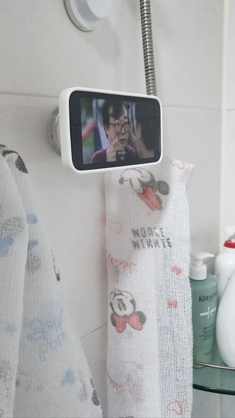 Vacuum mount used in a car and bathroom