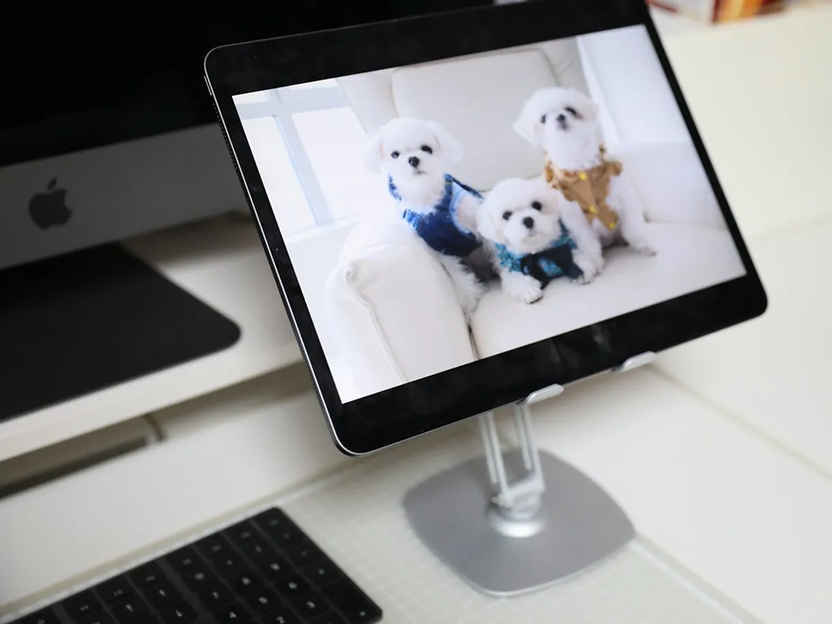 Bitinya 360-degree rotating tablet stand
