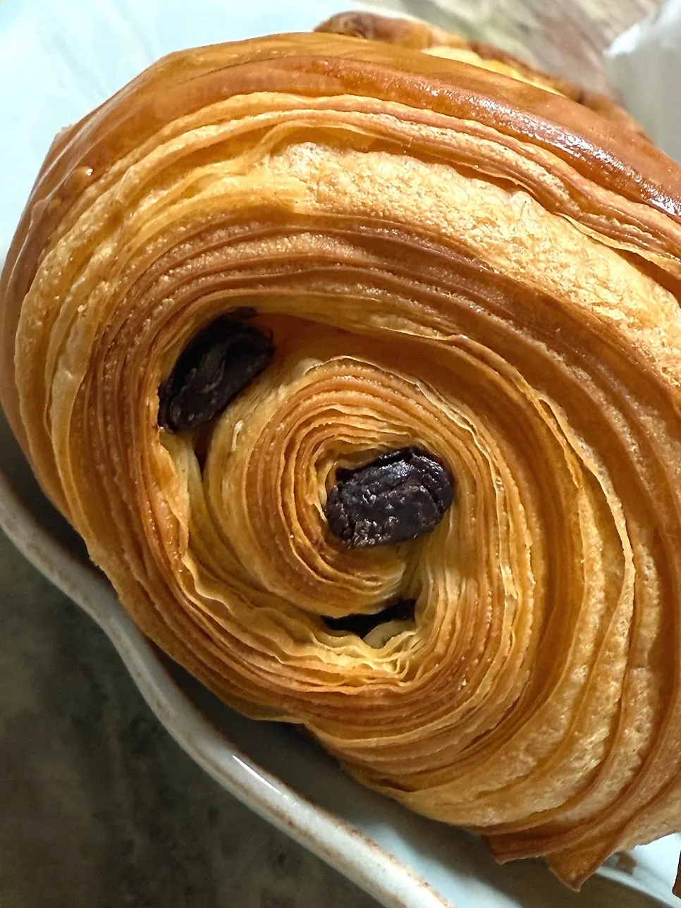 Cross-section of the large flan