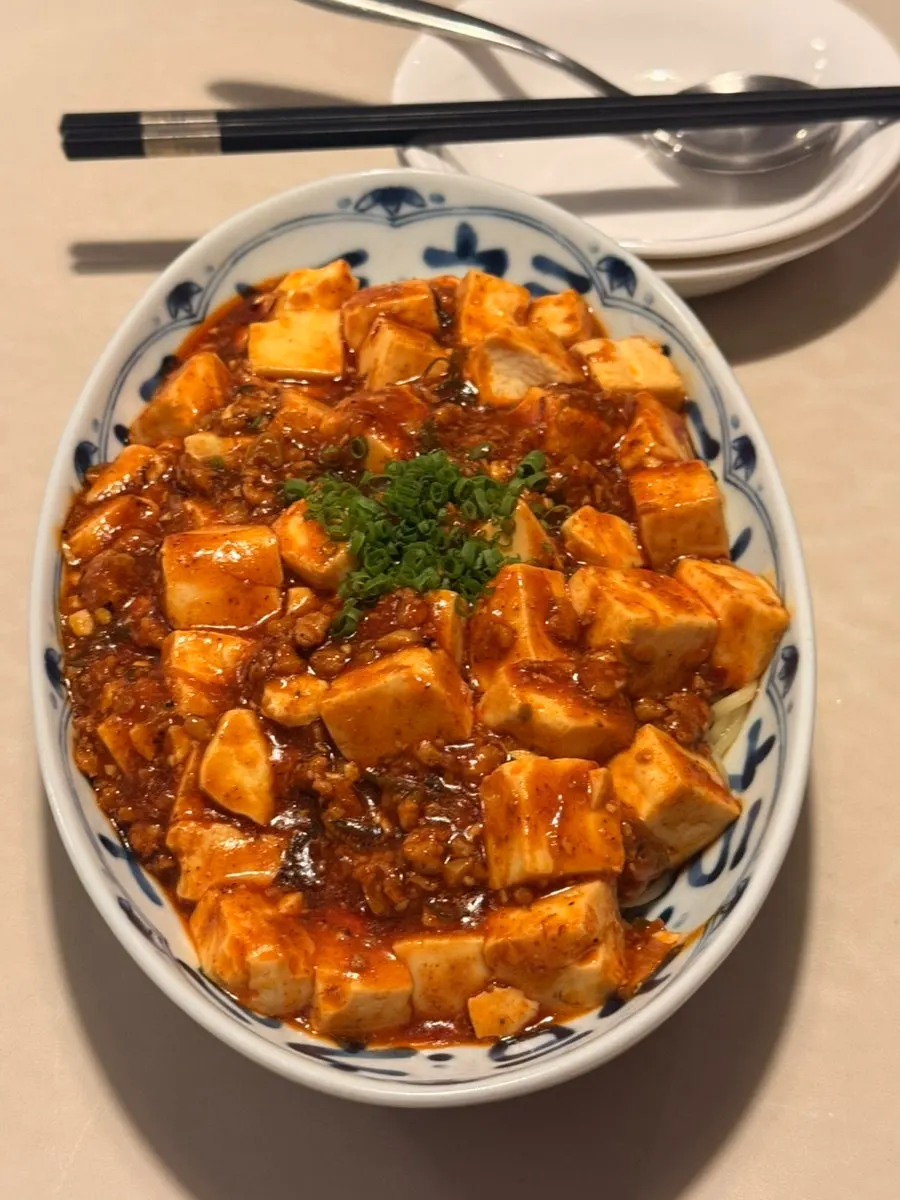 Mapo tofu ordered with noodles