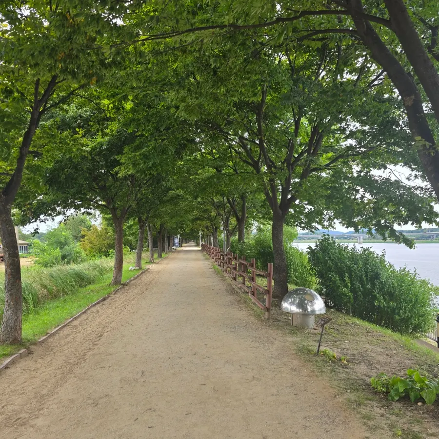 Autumn riverside view at Misa Gyeongjeong Park
