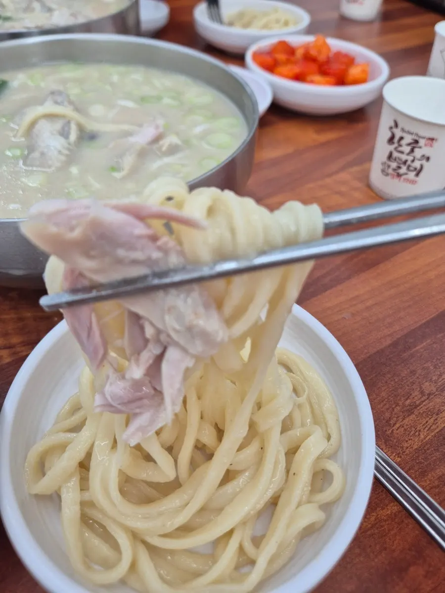닭고기와 칼국수 면이 담긴 삼계 칼국수