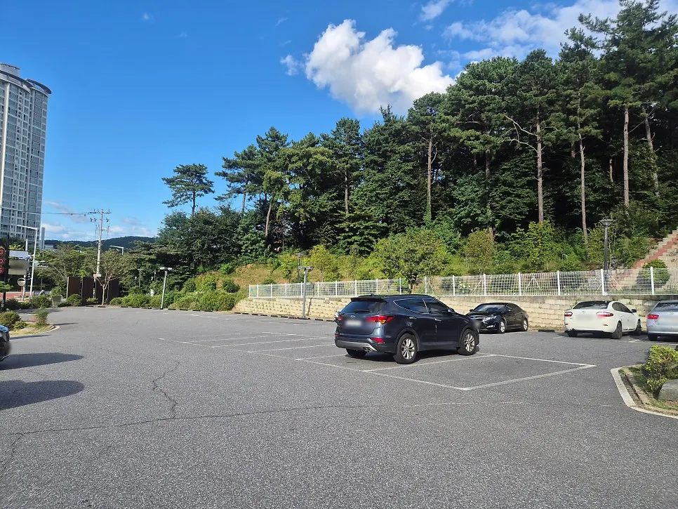 View of the parking lot in front of Boksakkot Pineun Jip Daejeon Branch