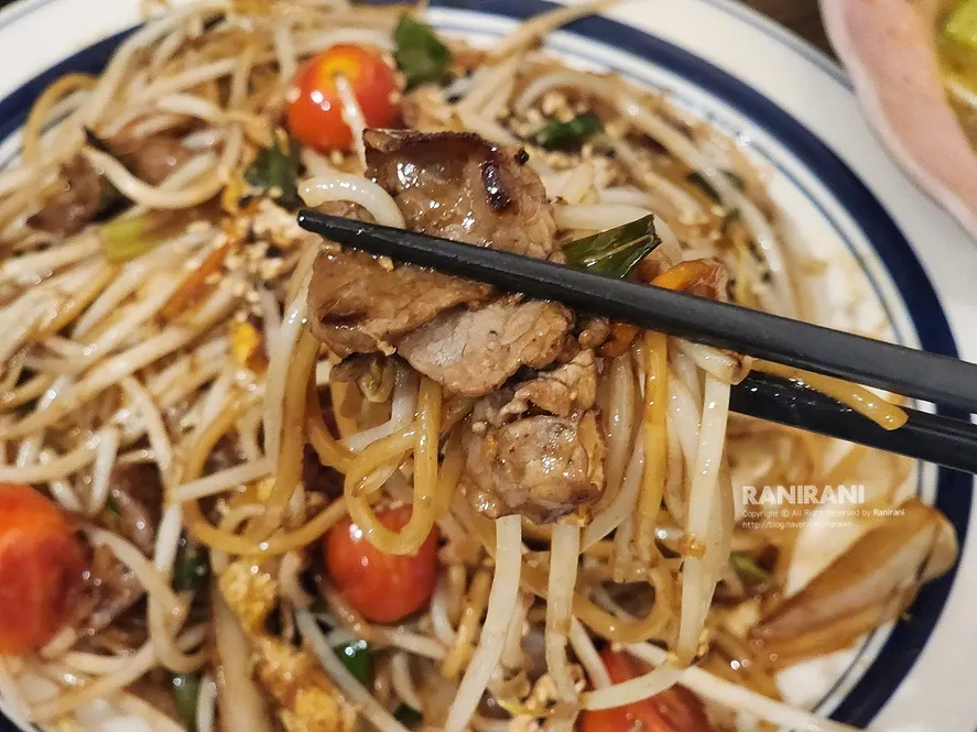 Chopsticks picking up beef brisket bean sprout noodles