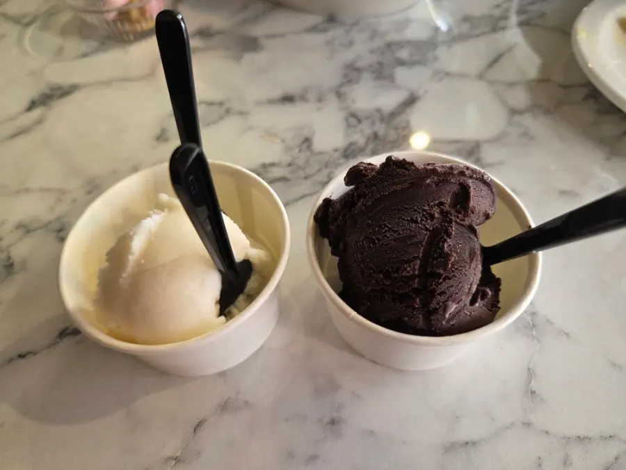 Chocolate and yogurt gelato from the review event