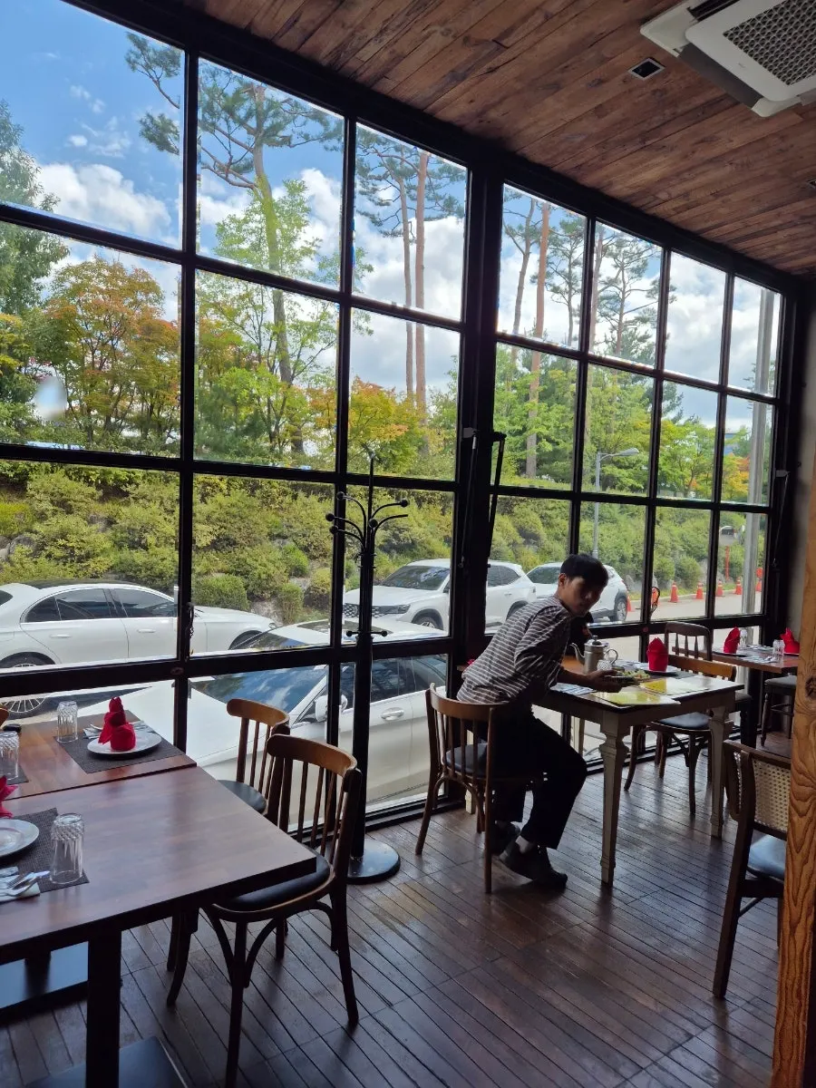 Window seating with pine and maple trees visible through floor-to-ceiling glass