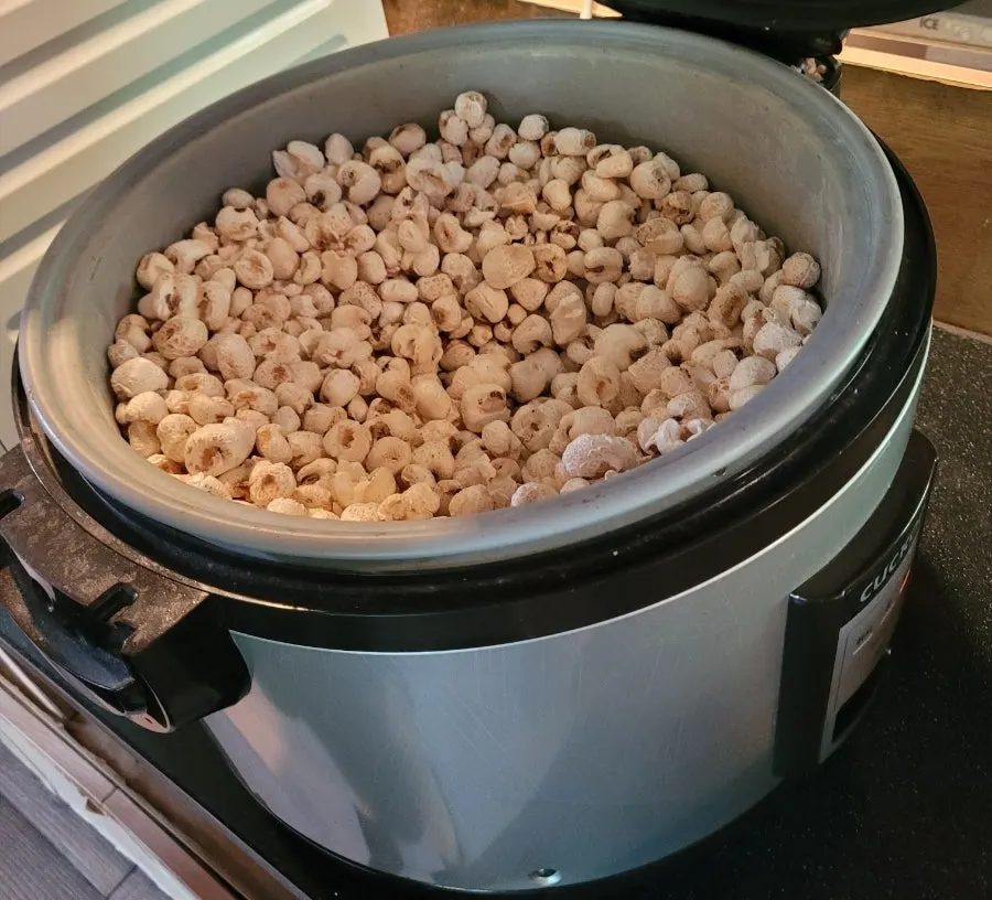 봄설 한정식 식사 마무리 상차림