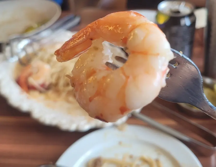 식사를 마친 보나리체타 테이블