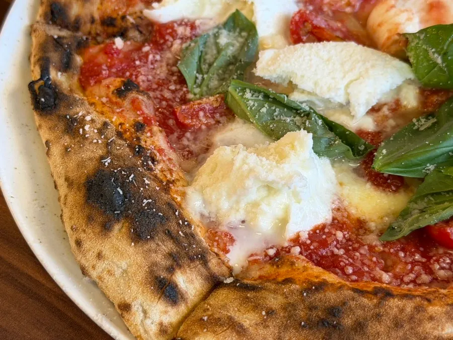 Cross-section of margherita pizza showing moist dough and cheese