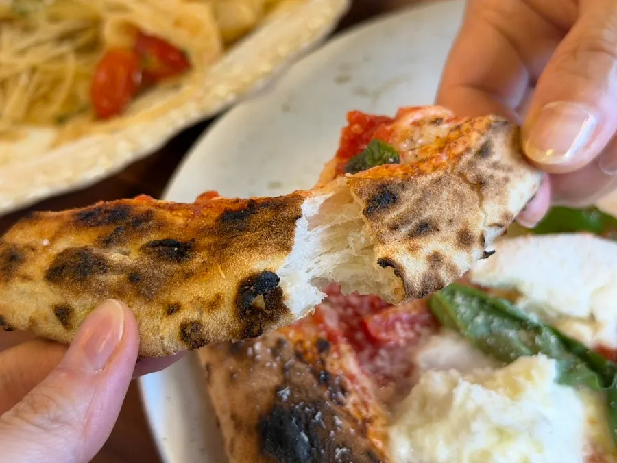 Chewy pizza dough torn by hand showing its layered texture