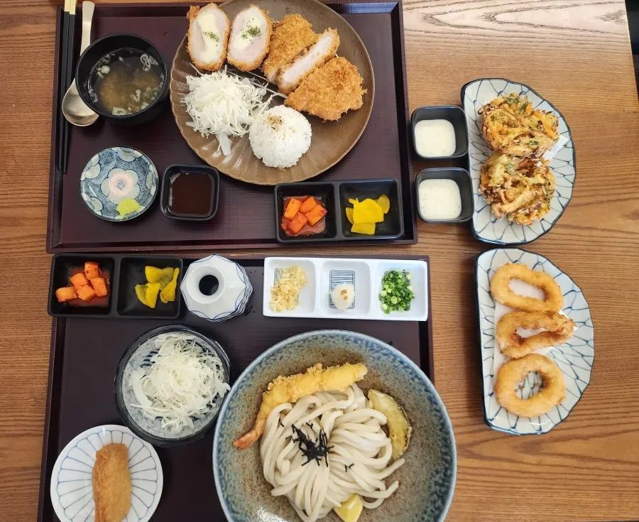 A full table of bukkake udon, half-and-half cutlet, and tempura