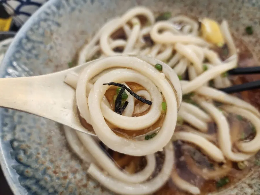 Plump, chewy Sanuki udon noodles