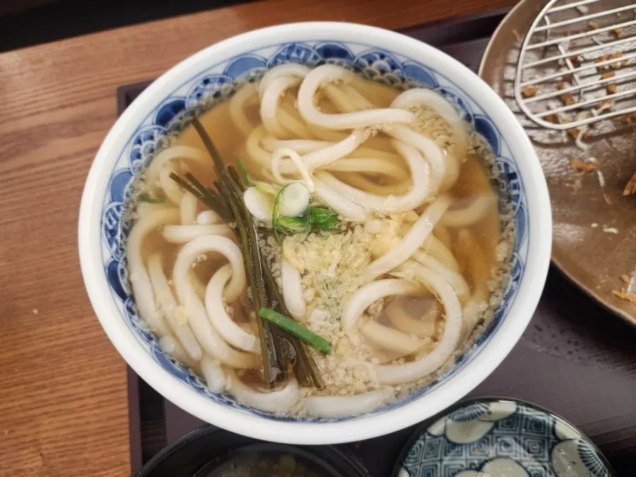 Kake udon with anchovy broth