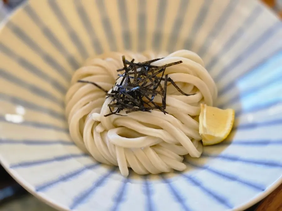 Bukkake udon served with broth