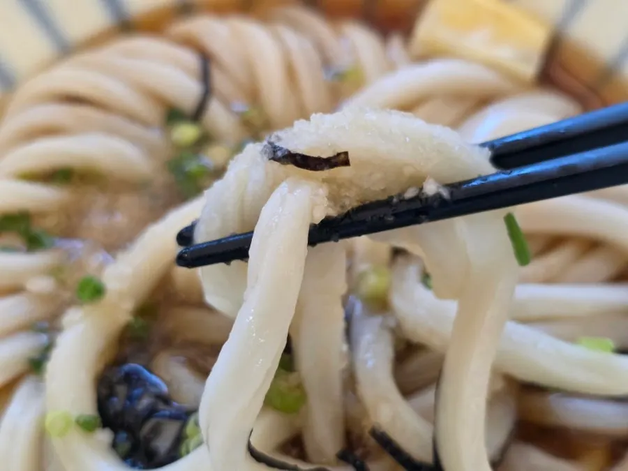 Bukkake udon served with broth