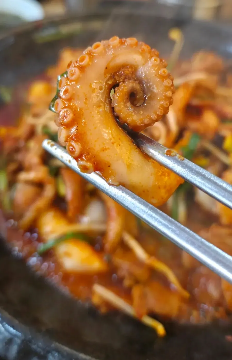 Close-up of plump baby octopus on the okkumi hot plate