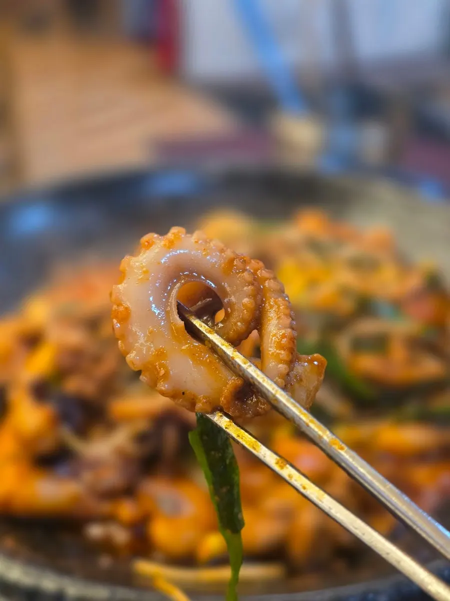 토실토실한 쭈꾸미 클로즈업