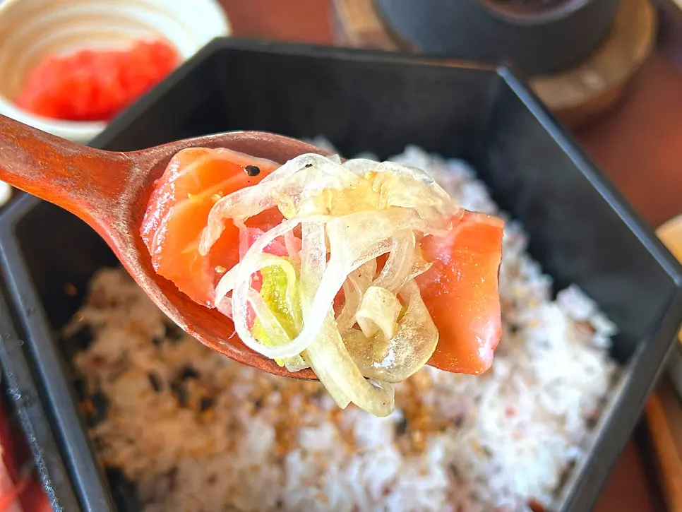 돈카츠카레동 연어정식과 리코타치즈샐러드 한 상