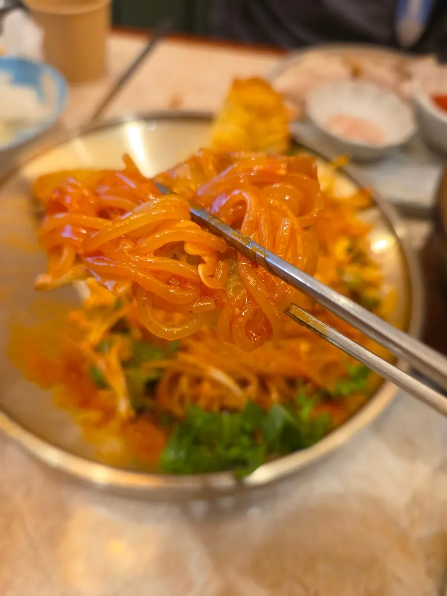 Plate of bibim jjolmyeon and fried dumplings