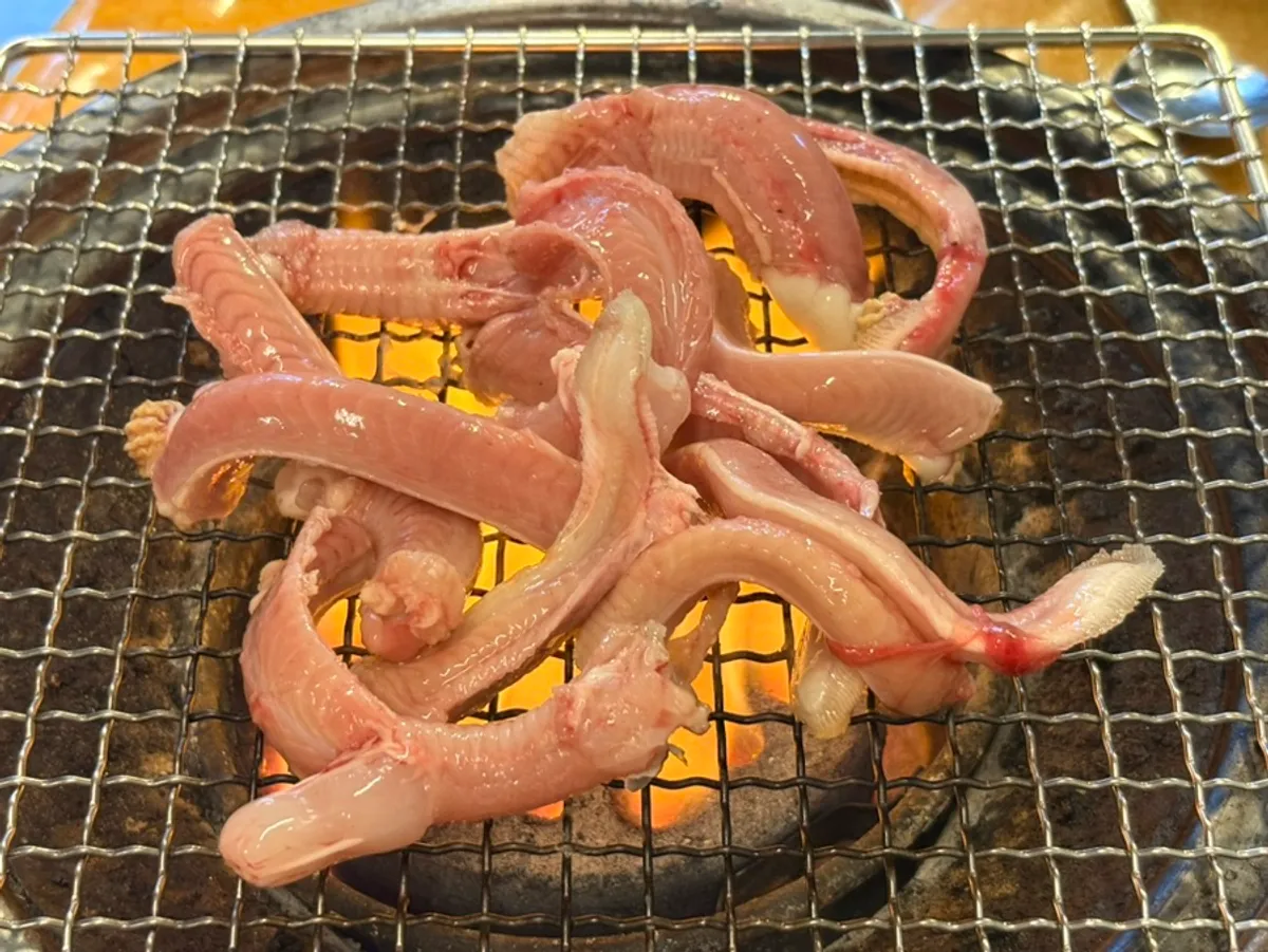 손질해 연탄불에 올린 산꼼장어