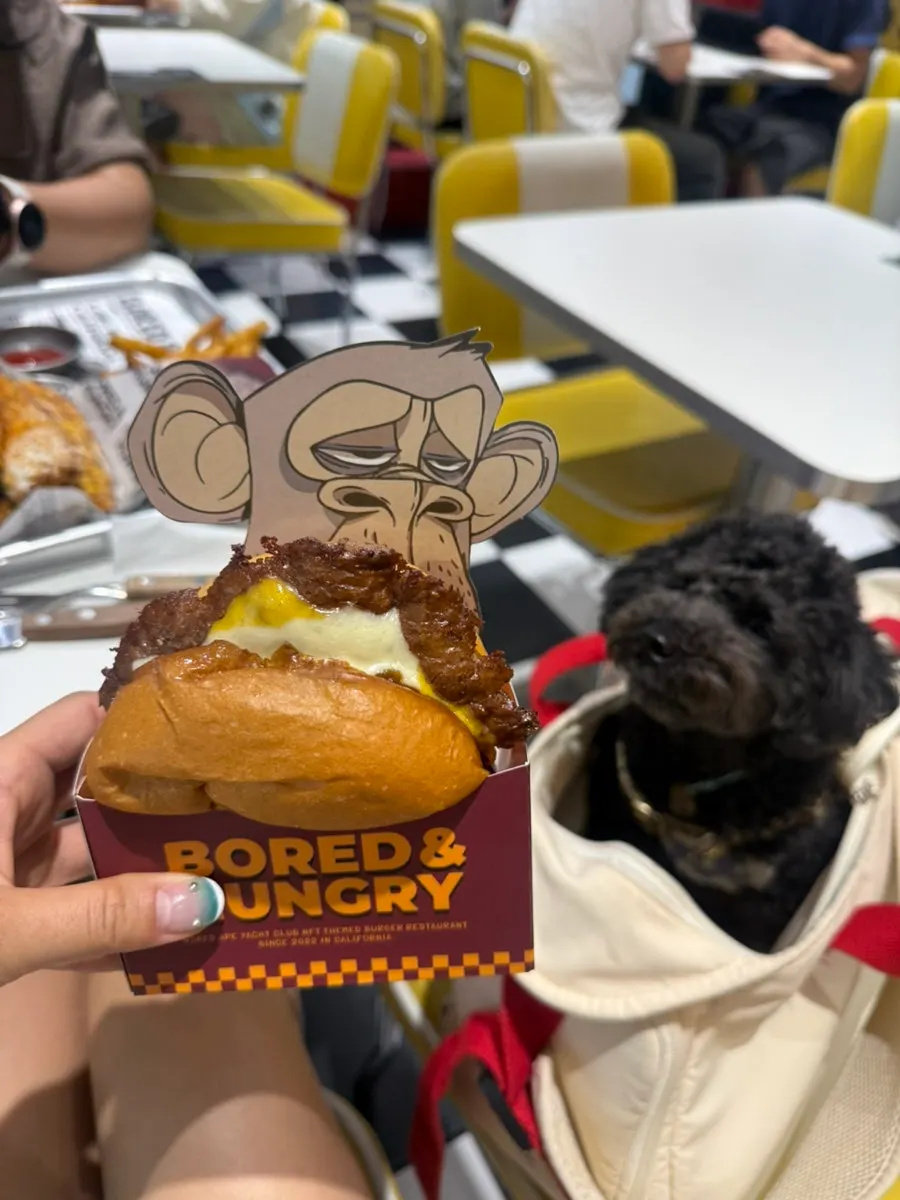A dog staring at the burger