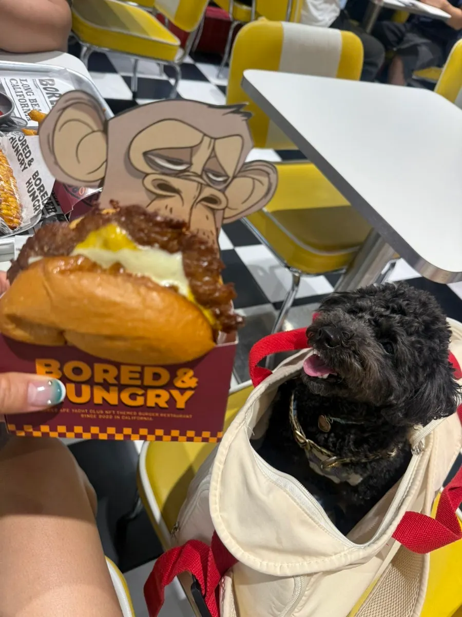 Lunch seating in the restaurant with a dog