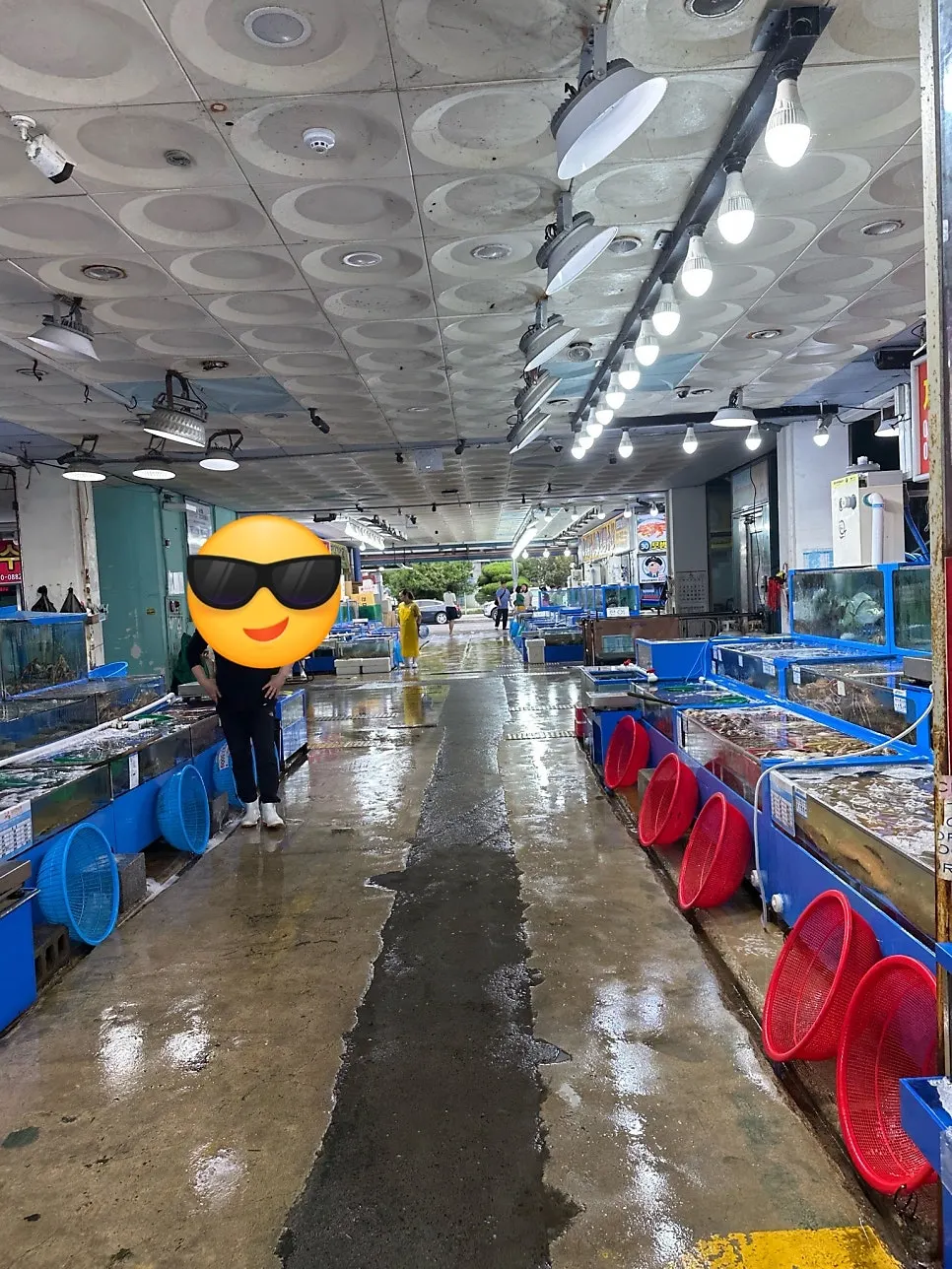Sashimi bought and packed at Nokdo Susan
