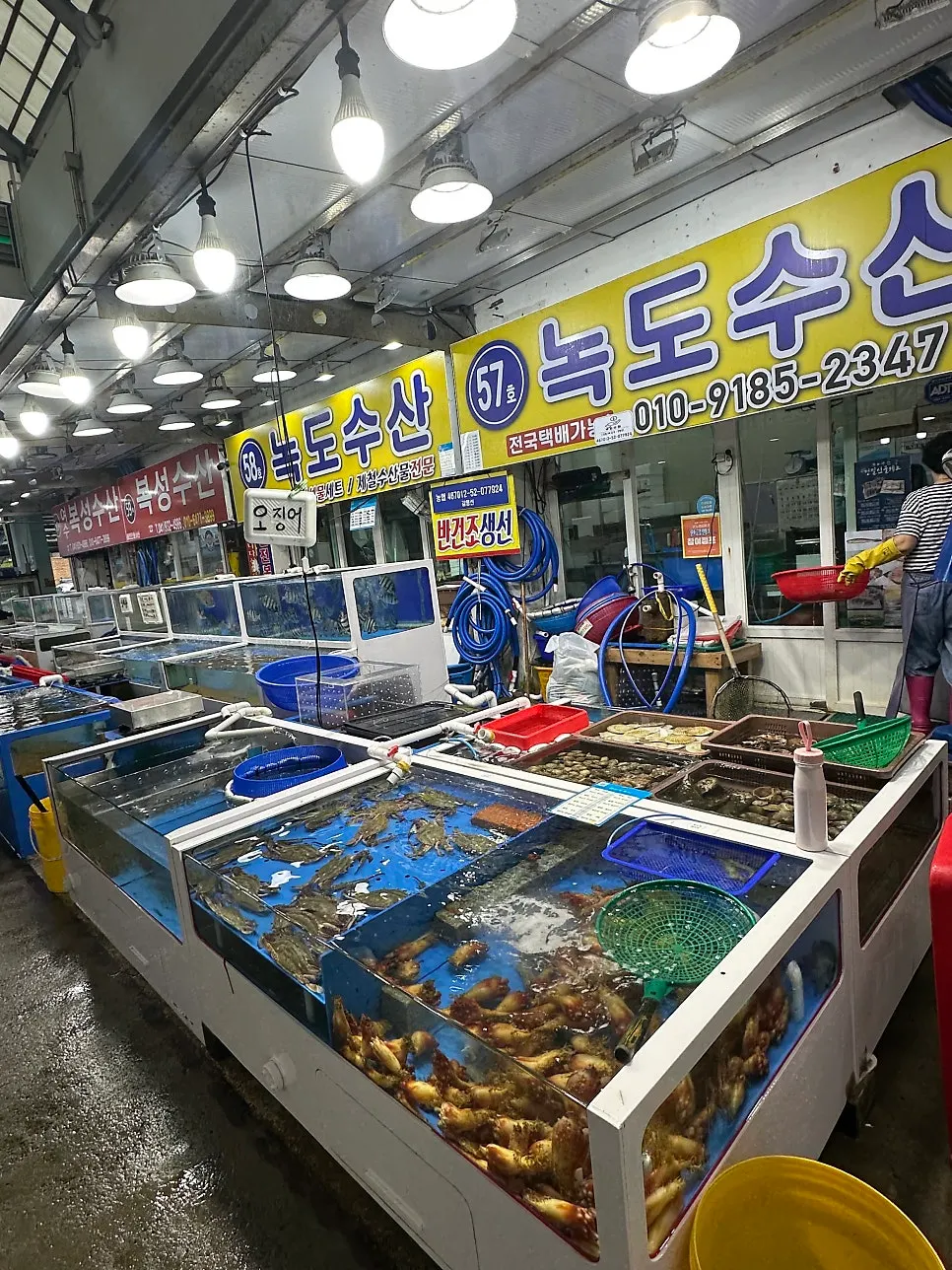 Seafood counter where you can see and choose yourself