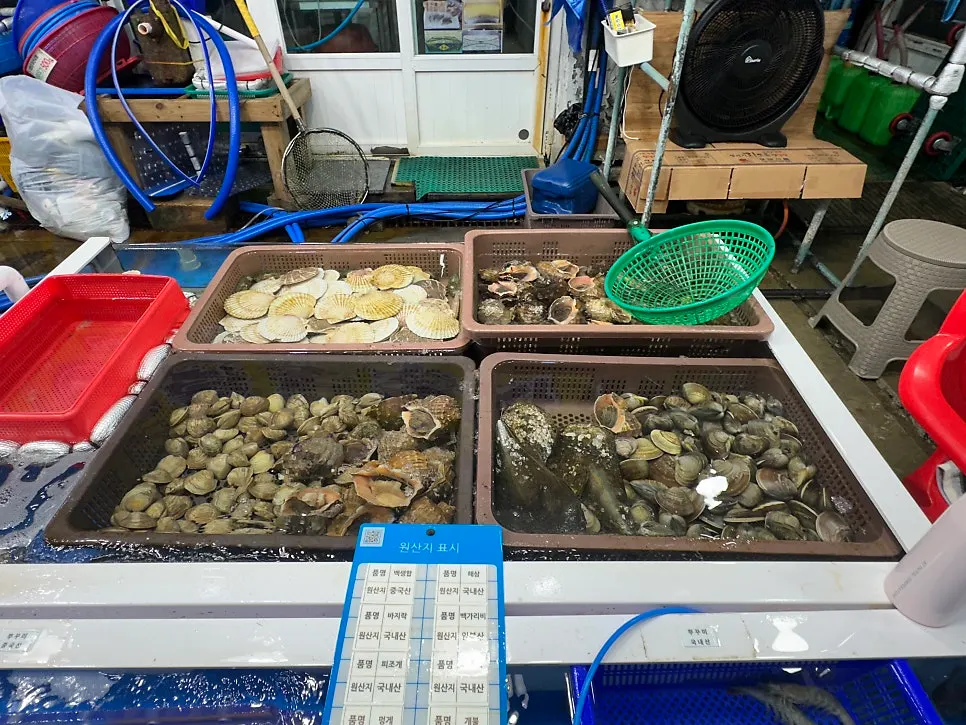 Flounder and squid picked together