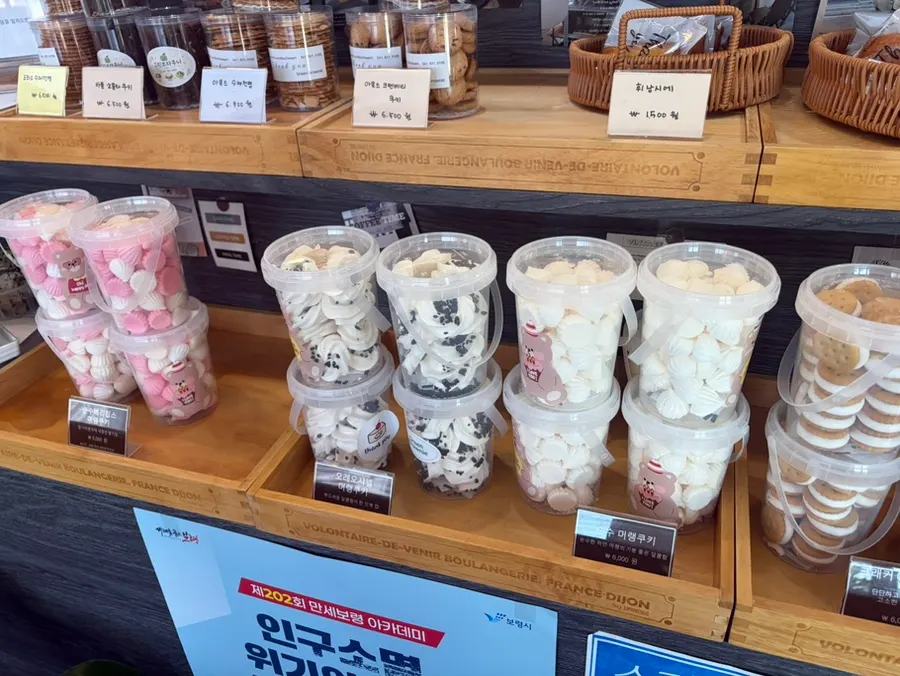 Assorted cake slices on display