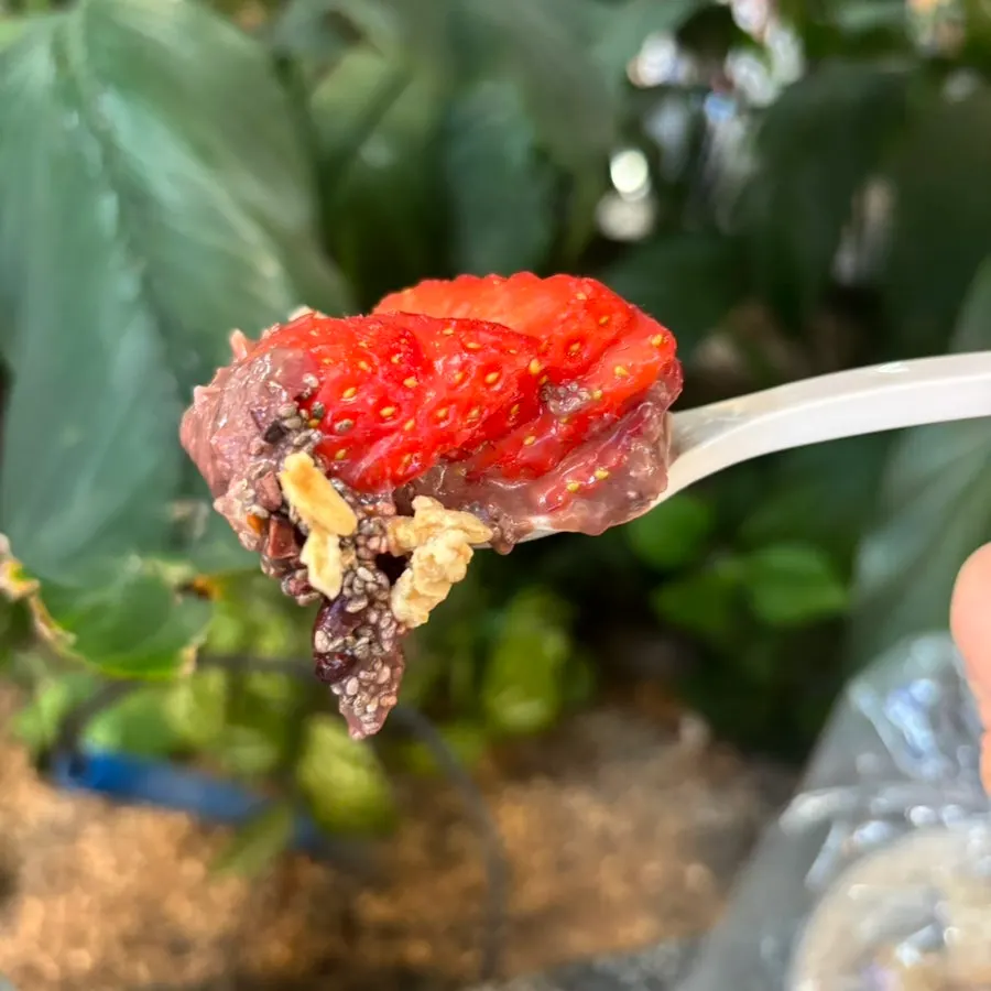 Açaí berry bowl brought out for dessert