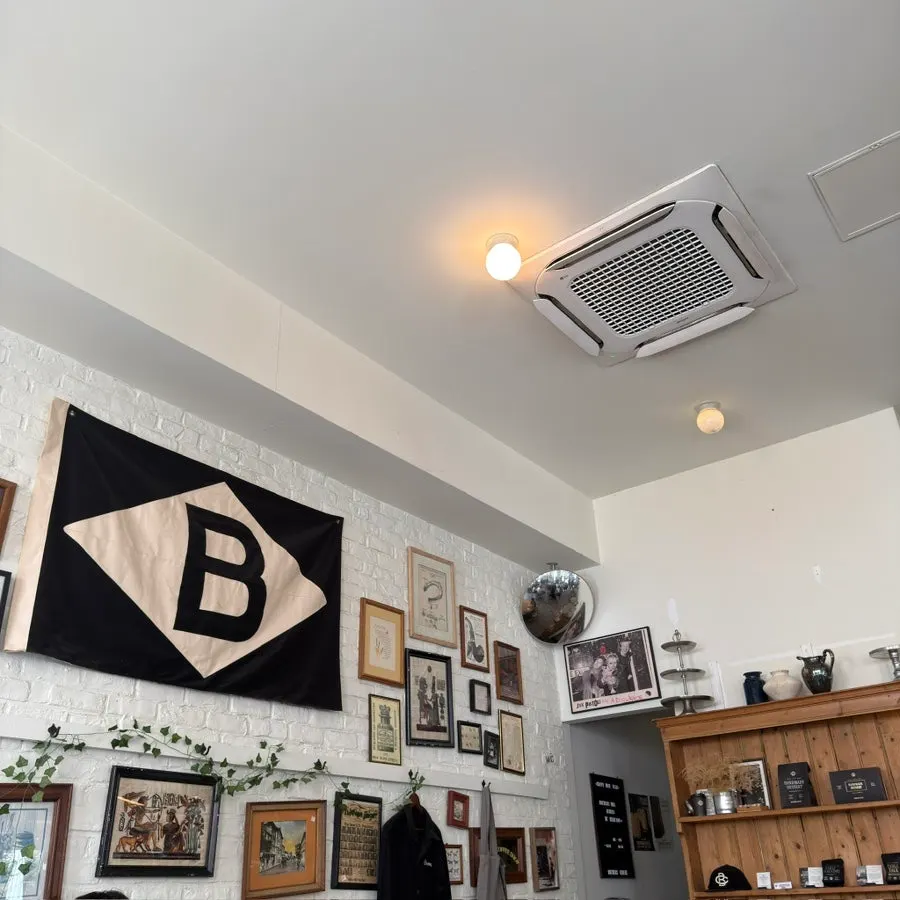 Vintage decor and plants at Brewers Coffee
