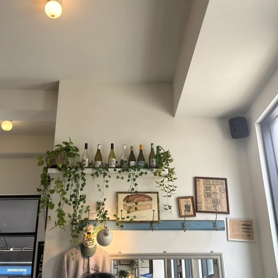 Window seat with green plants at Brewers Coffee