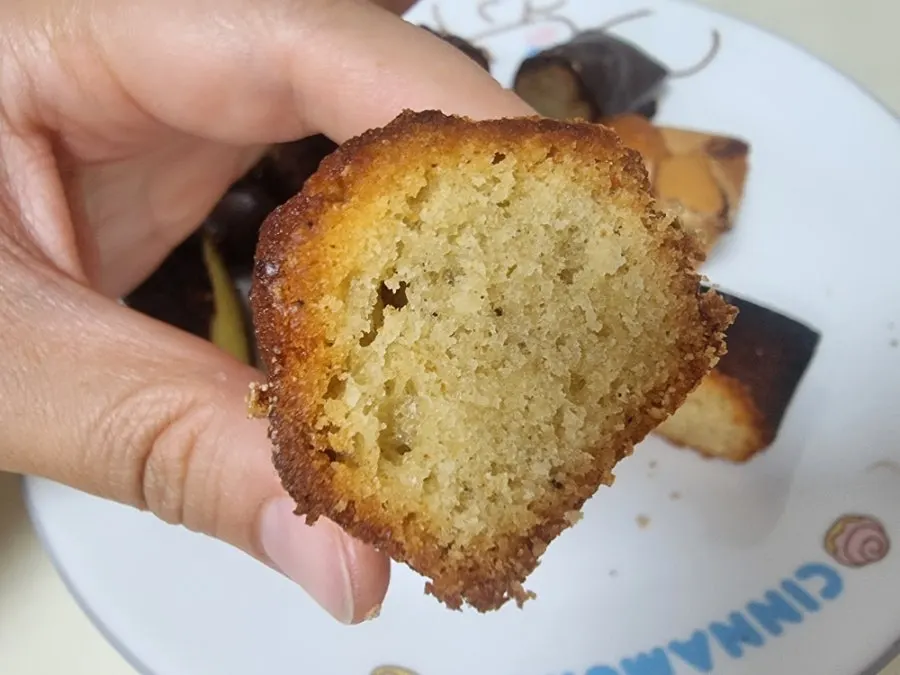 Cross-section of plain financier