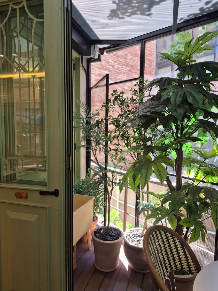 Terrace space surrounded by green plants