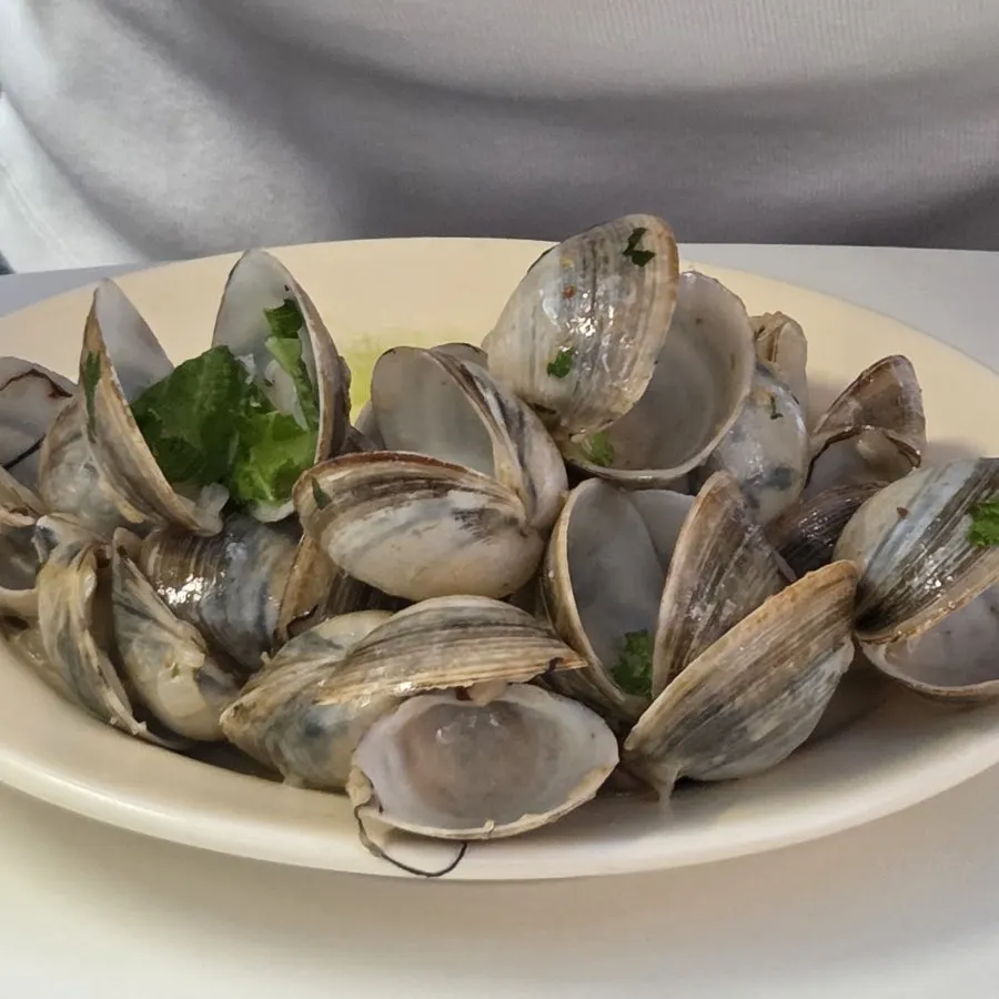 A pile of empty clam shells after finishing the dish