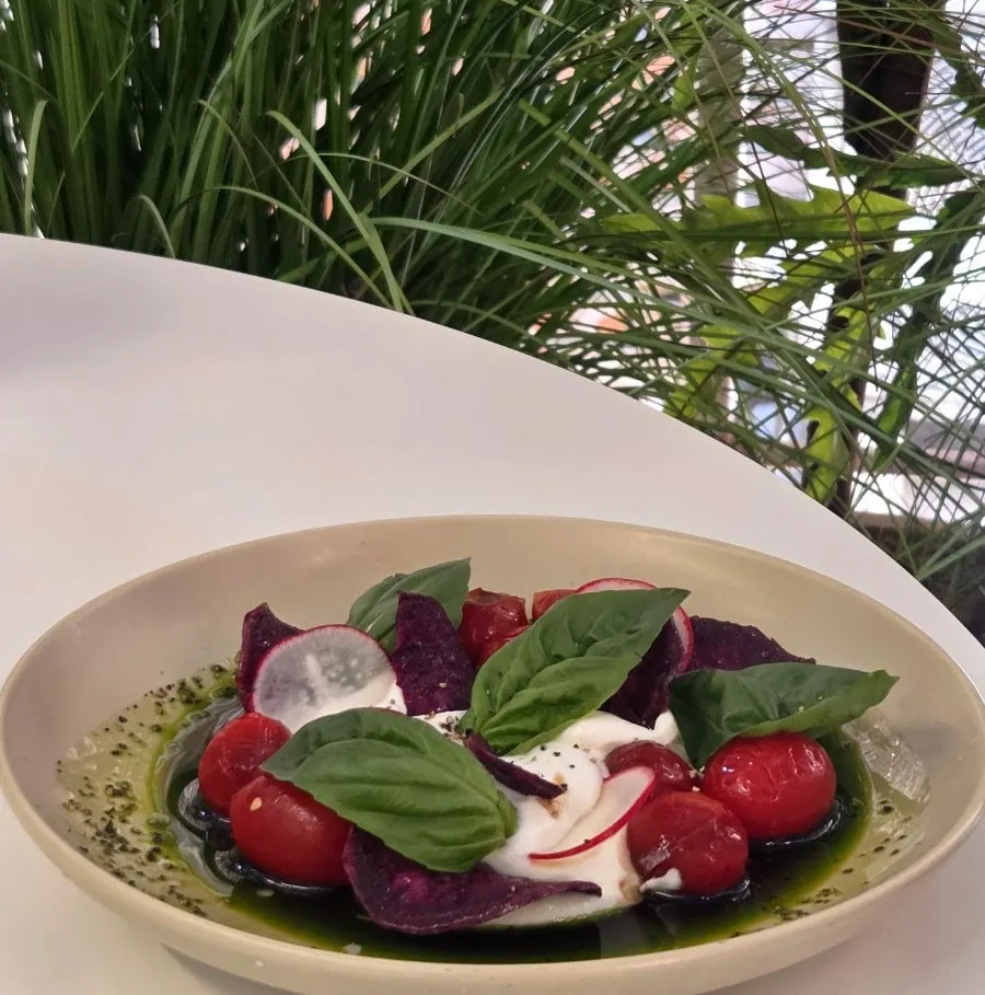 Plating of Greek yogurt and tomato salad