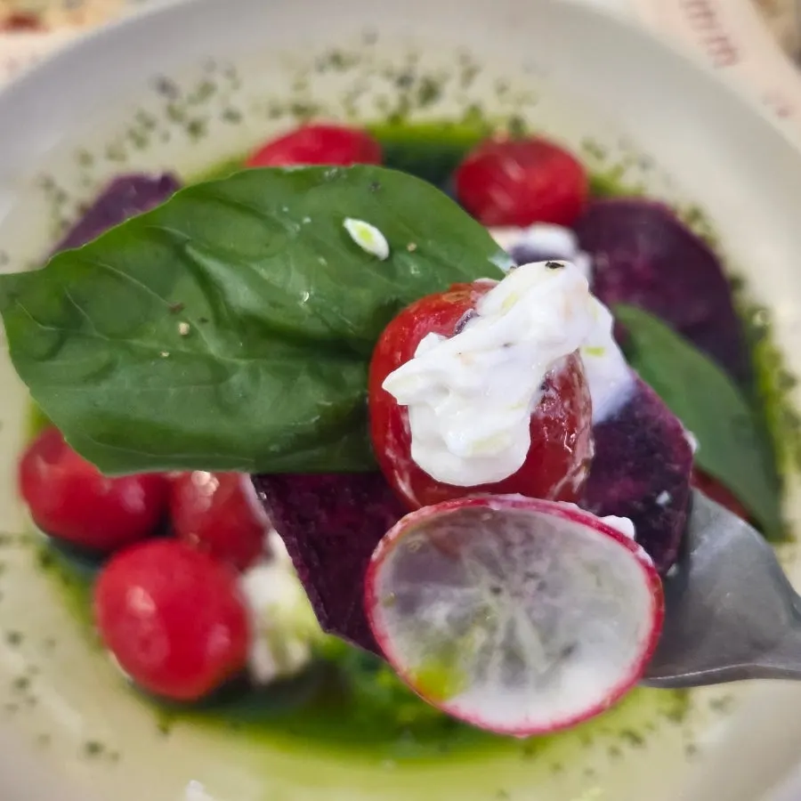 Tomato salad drizzled with yogurt sauce