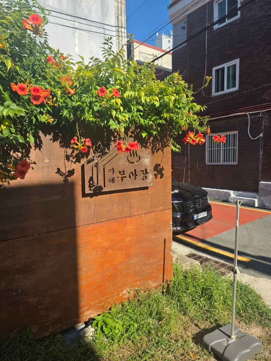 민락 골목시장 뒤편 한적한 주택가 골목 풍경