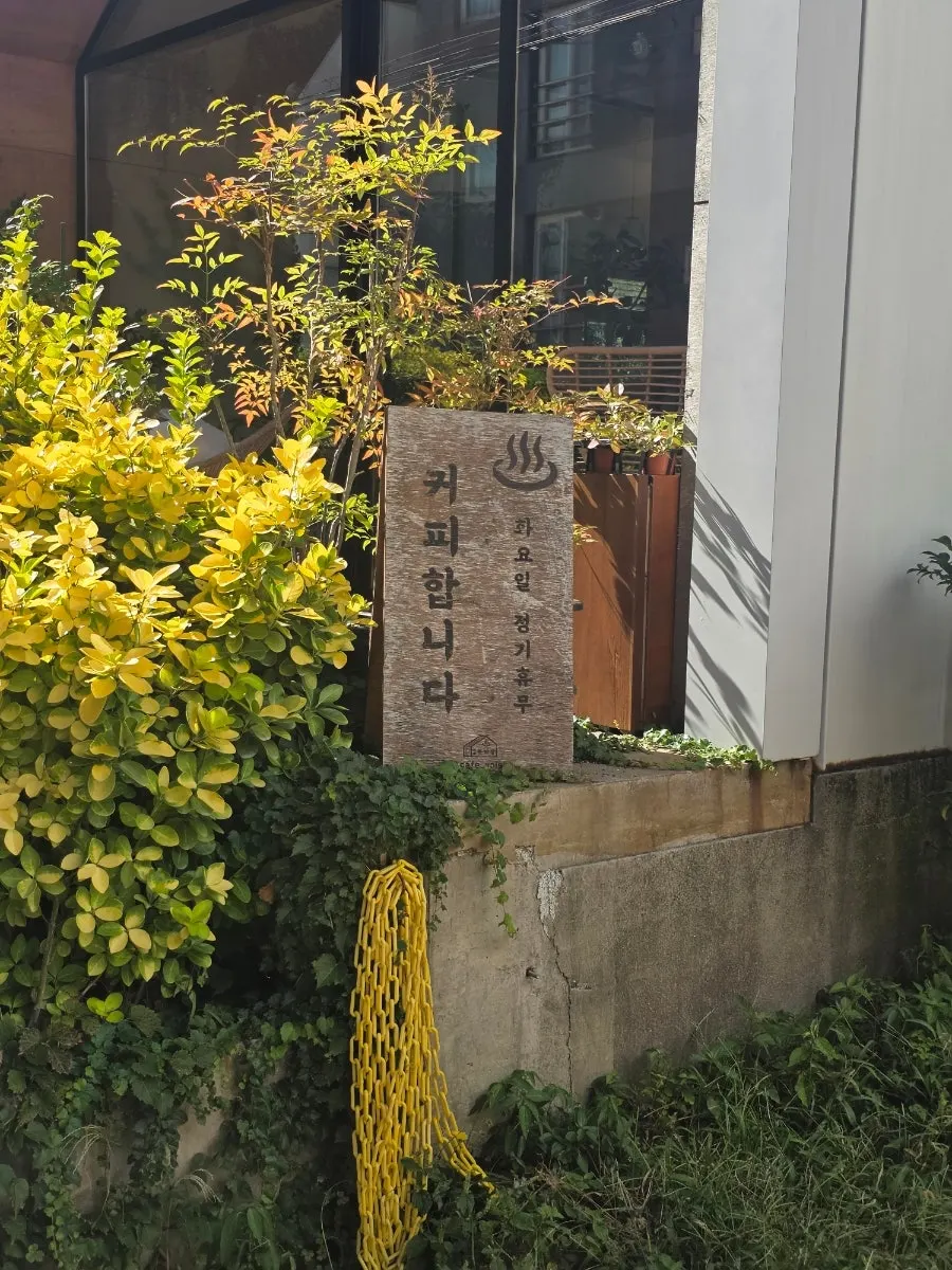 식물과 햇살이 어우러진 부아장 실내 전경
