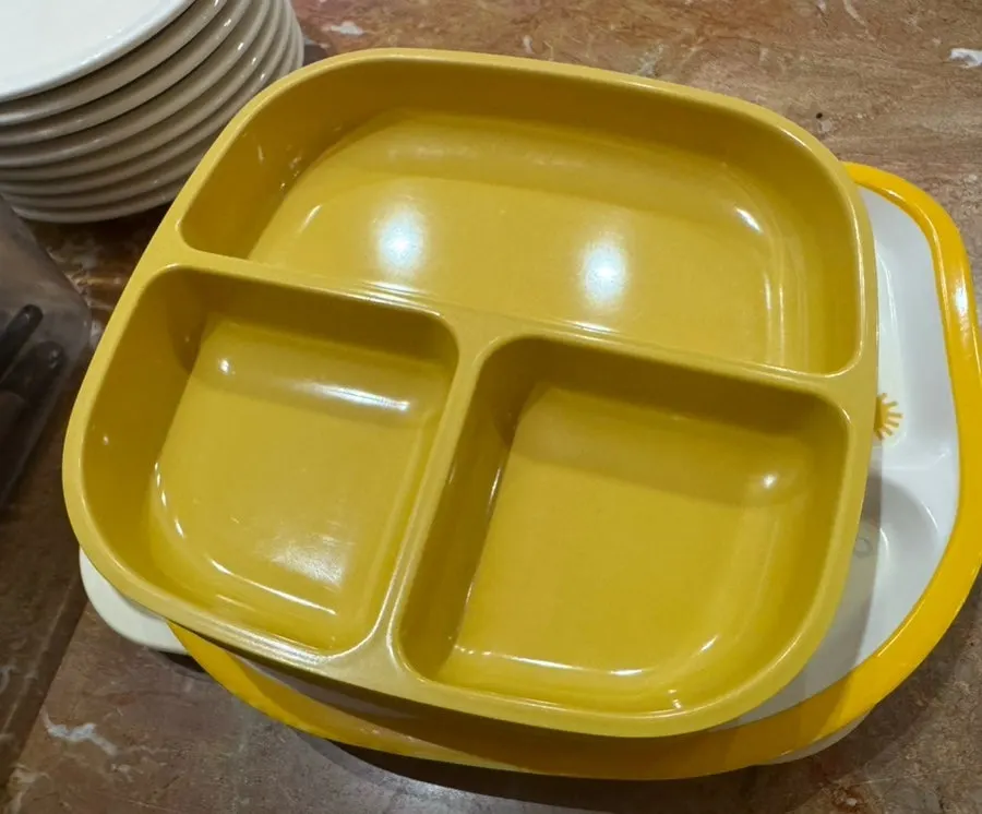 Food portioned onto a kids' plate