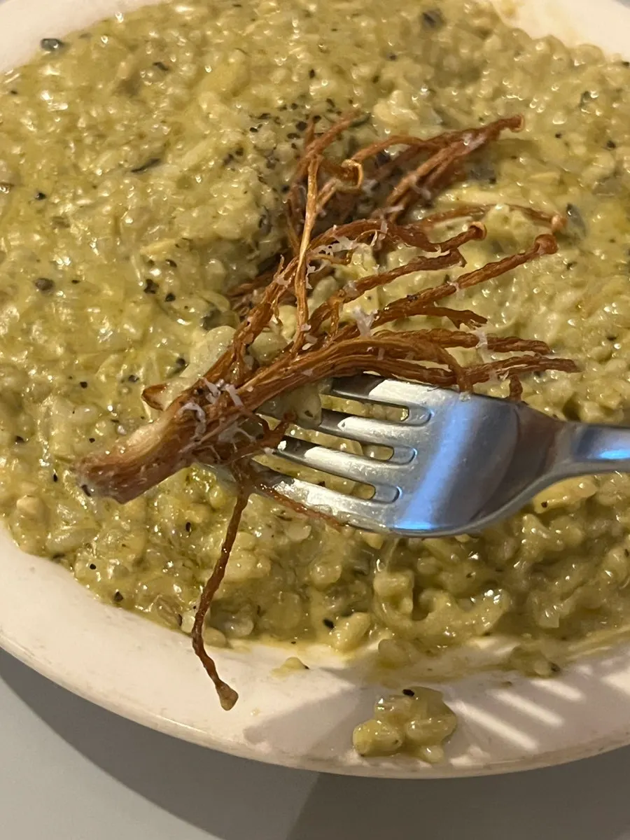 Crisply seared enoki mushrooms on top of the risotto